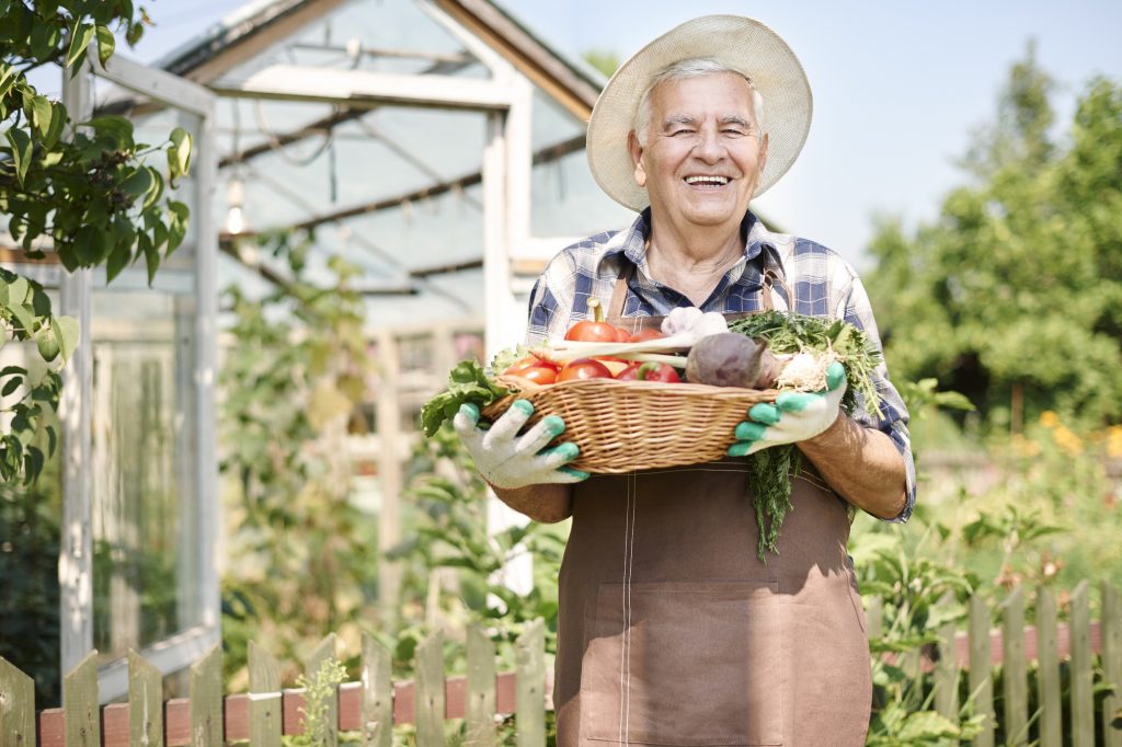 An elderly man with a basket of vegetables in a garden.