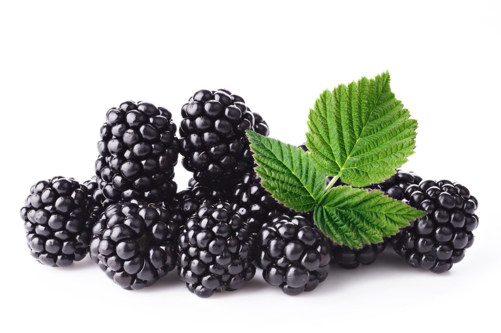 Several Blackberries, white background