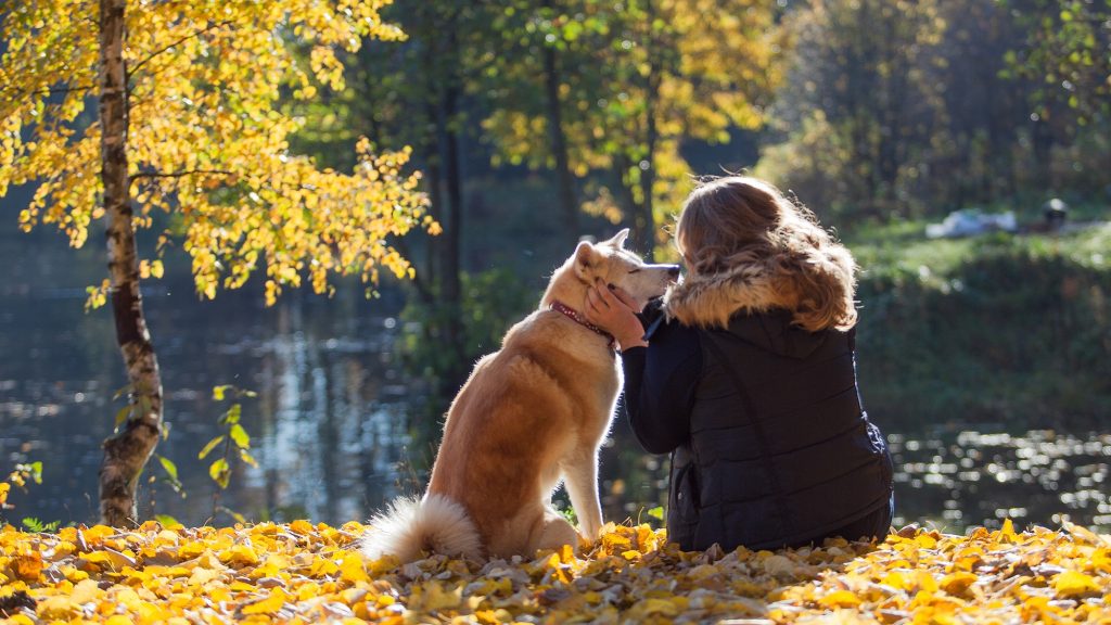 The back of a woman and her dog sitting outside.  It looks like fall and the leaves are yellow.
