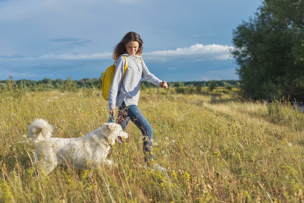 A woman with a backpack on her back, hiking with a large white dog.