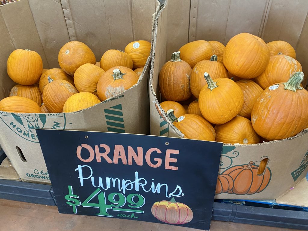 Giant Cardboard boxes filled with orange pumpkins for sale.