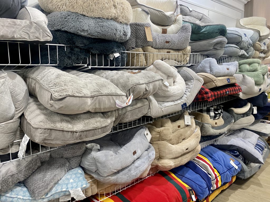 Pet bed isle at homegoods.