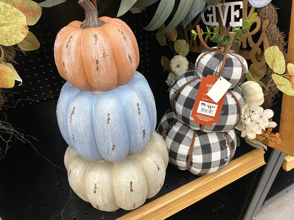 Fall pumpkin tabletop topiaries at big lots.