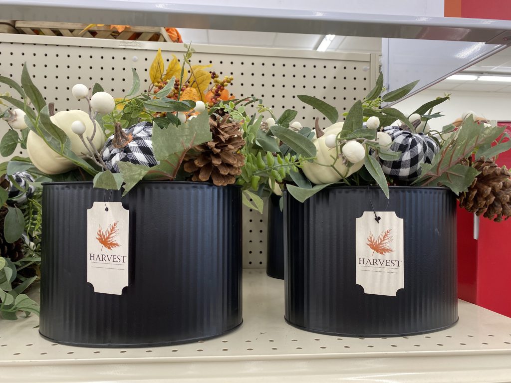 Fall faux plants at big lots.