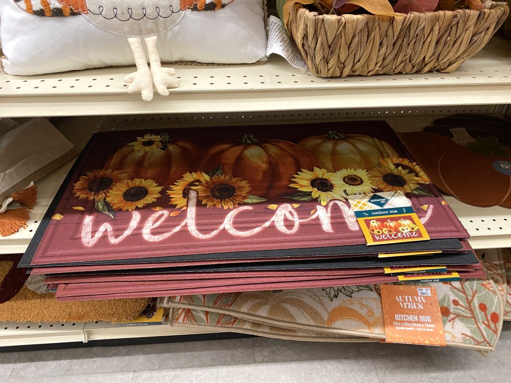 Fall doormats at big lots.