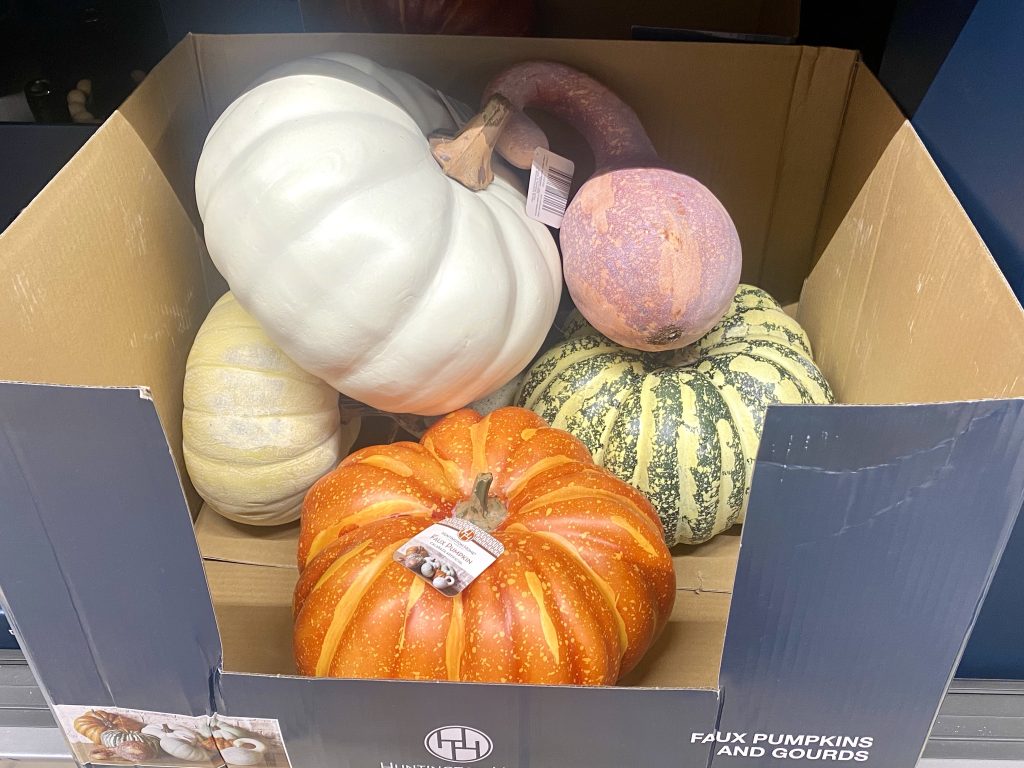 Faux pumpkins and gourds at aldi.
