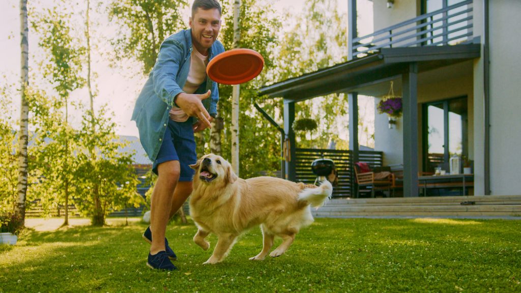 A man throwing a frisbee with a dog.