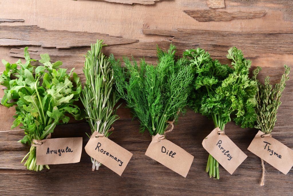 Fresh herb bundles with paper labels.