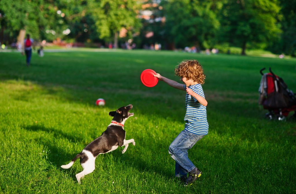 Dog Park boy and dog playing.