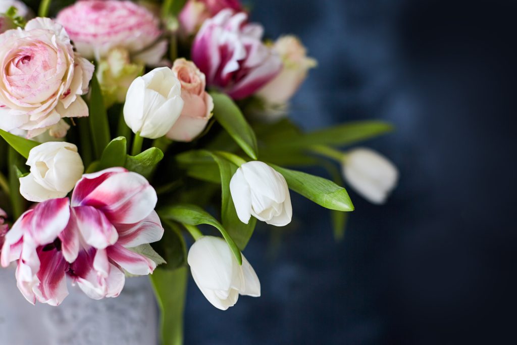 Fresh pink and white flower tulips with green stems.
