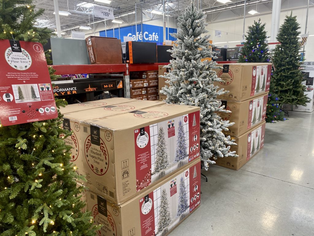 Christmas trees at sam's club.