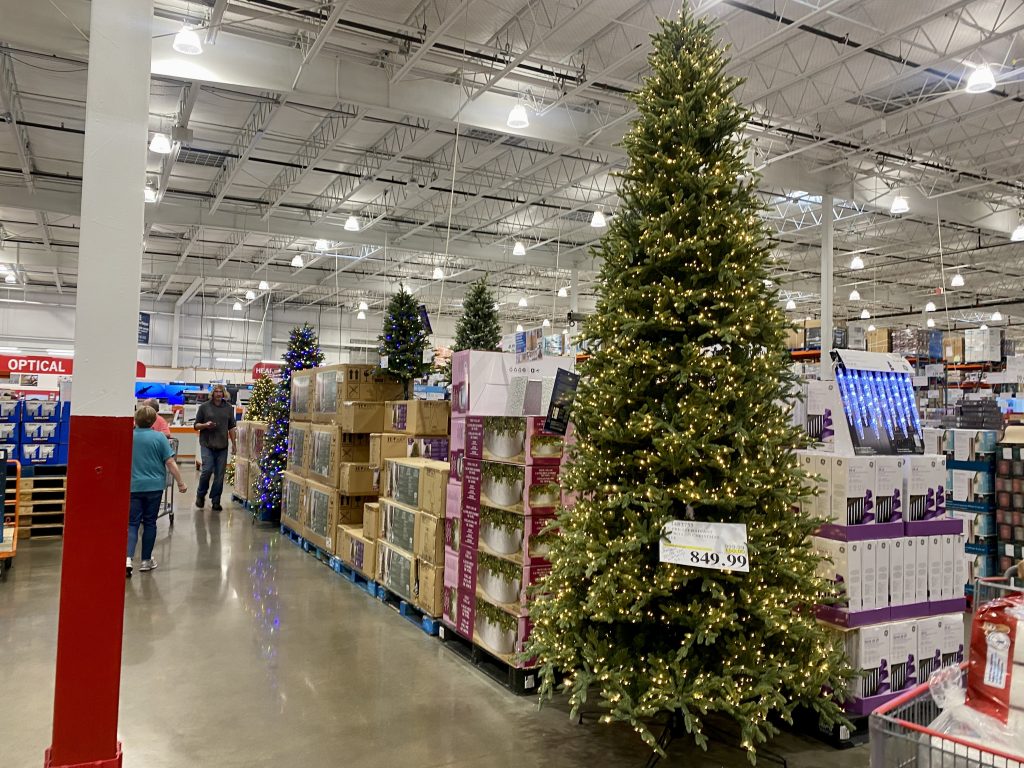 costco christmas trees.