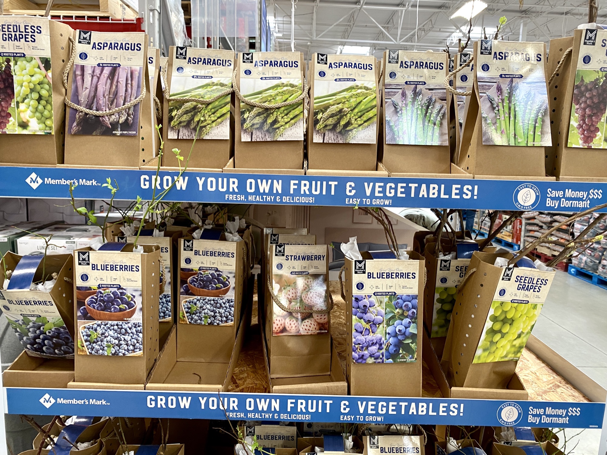 20 Remarkable Sam's Club Spring Outdoor Finds Natasha's Southern Flavor