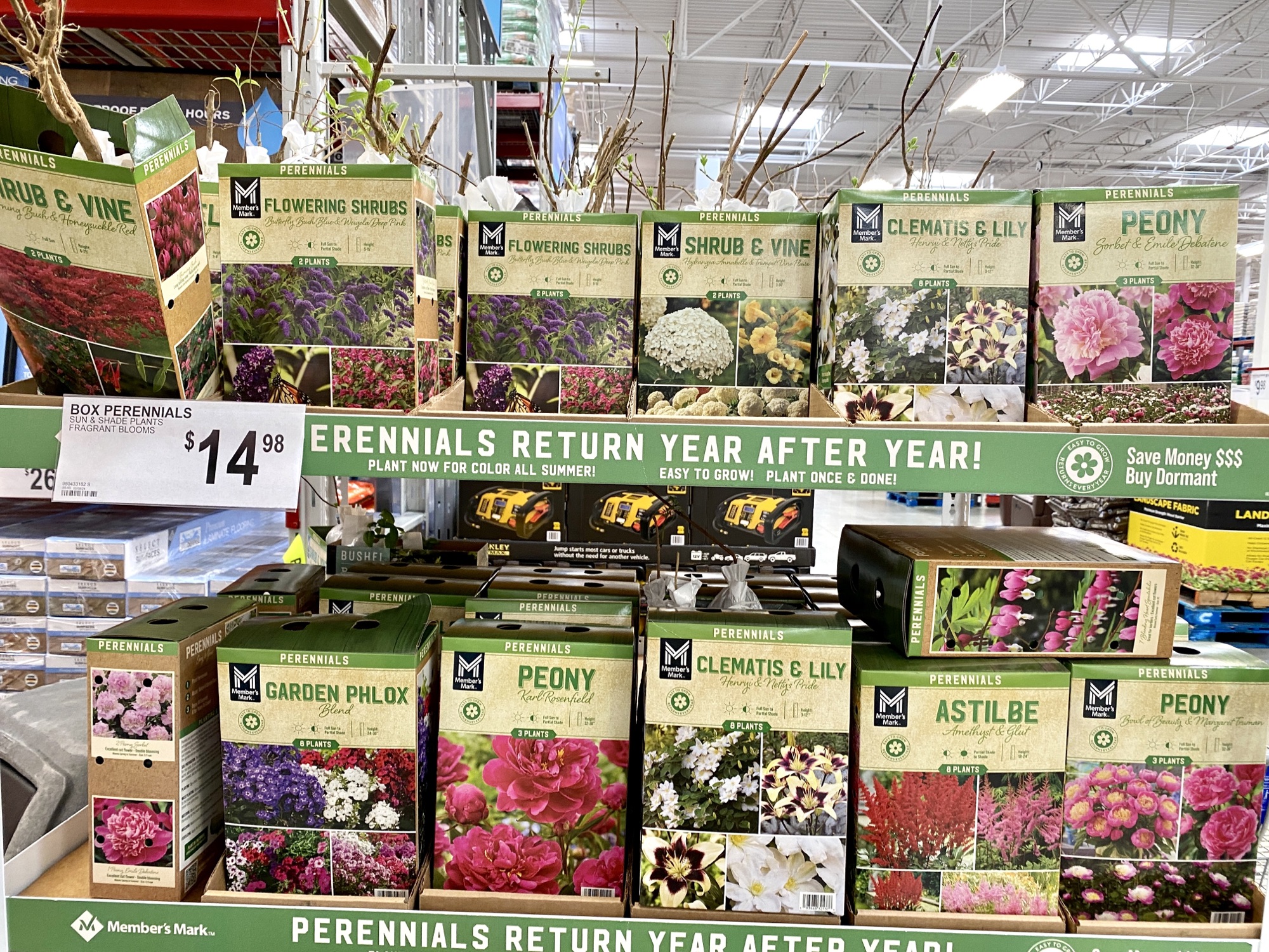 20 Remarkable Sam's Club Spring Outdoor Finds Natasha's Southern Flavor