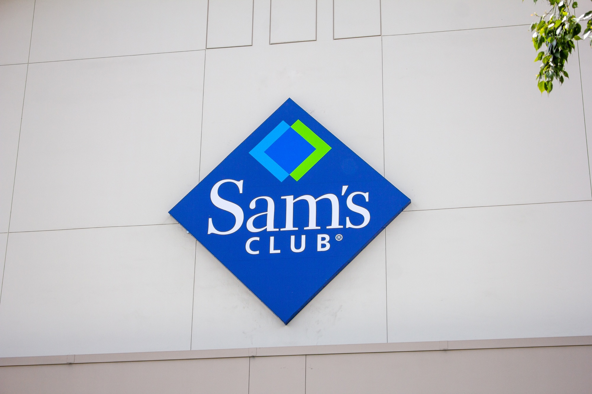12 Incredible Sam’s Club Spring Picks You Won’t Want to Miss